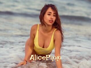 AlicePipp