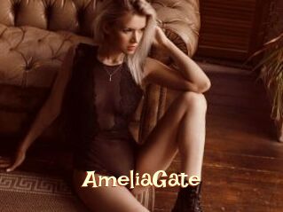 AmeliaGate