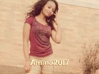 Amina2017