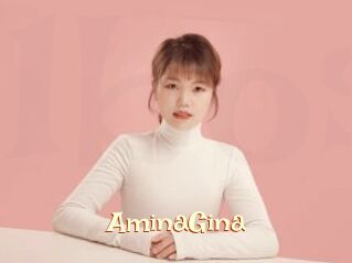 AminaGina