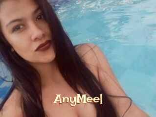AnyMeel