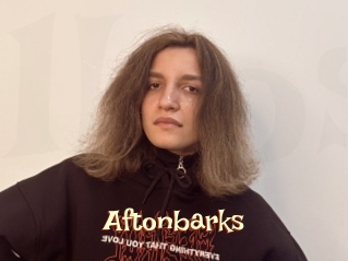 Aftonbarks