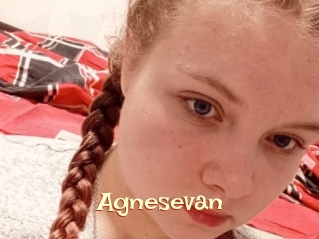 Agnesevan