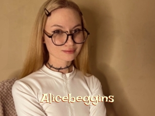Alicebeggins