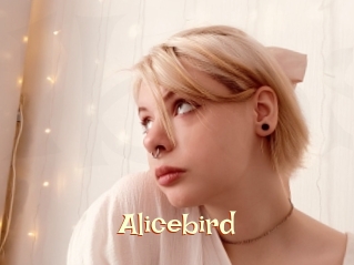 Alicebird