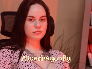 Alicedragonfly