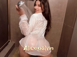 Alicepalvin