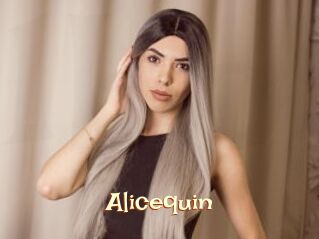Alicequin
