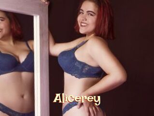 Alicerey