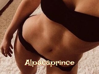 AlpacaPrince 1 bonnasse