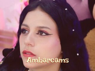 Ambarcams