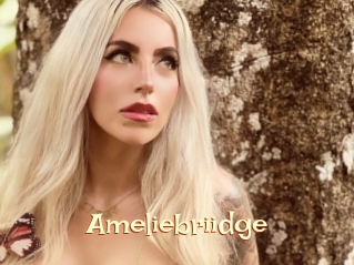 Ameliebriidge