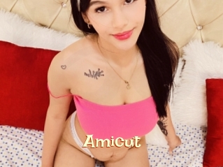 Amicut