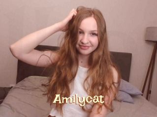 Amilycat