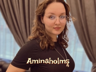 Aminaholms