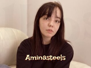 Aminasteels