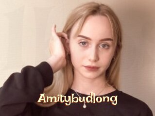 Amitybudlong