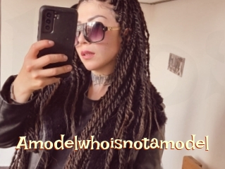 Amodelwhoisnotamodel