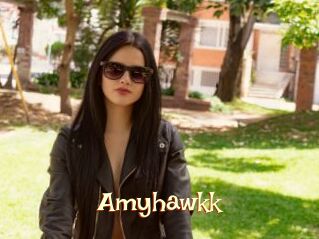 Amyhawkk