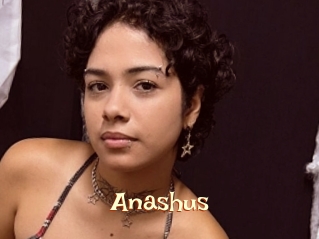 Anashus