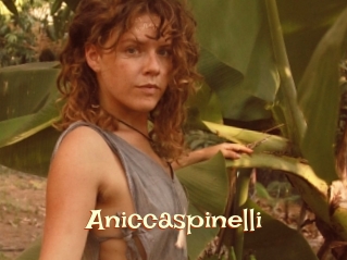 Aniccaspinelli