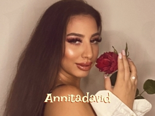Annitadavid
