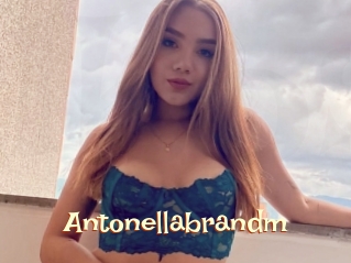 Antonellabrandm