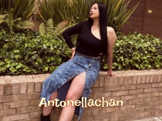 Antonellachan