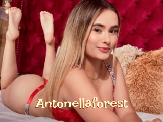 Antonellaforest