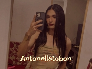 Antonellatobon