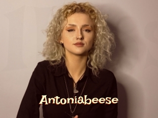 Antoniabeese