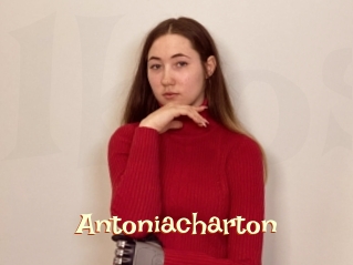 Antoniacharton