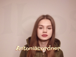 Antoniacordner
