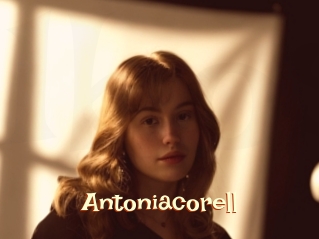 Antoniacorell