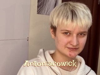 Antoniacowick