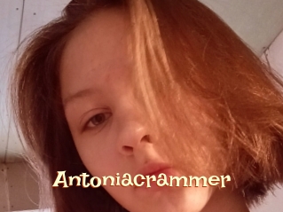 Antoniacrammer