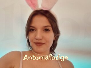 Antoniafudge