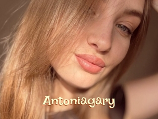 Antoniagary
