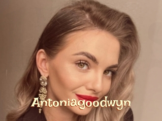 Antoniagoodwyn