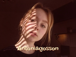 Antoniagosson