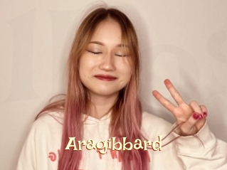 Aragibbard
