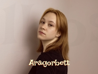 Aragorbett