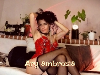Ary_ambrosia