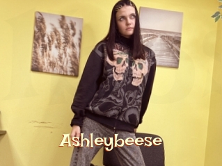 Ashleybeese