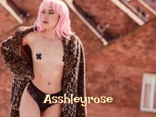 Asshleyrose