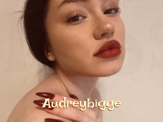 Audreybigge