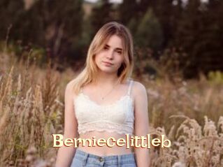 Berniecelittleb