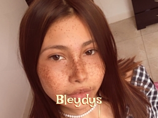 Bleydys