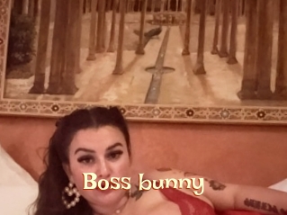 Boss_bunny
