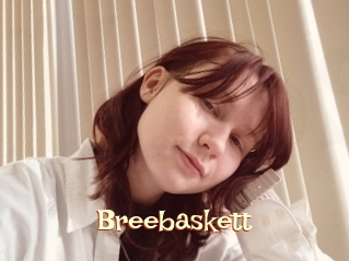Breebaskett